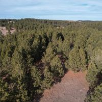 Black Hills 70 images 4