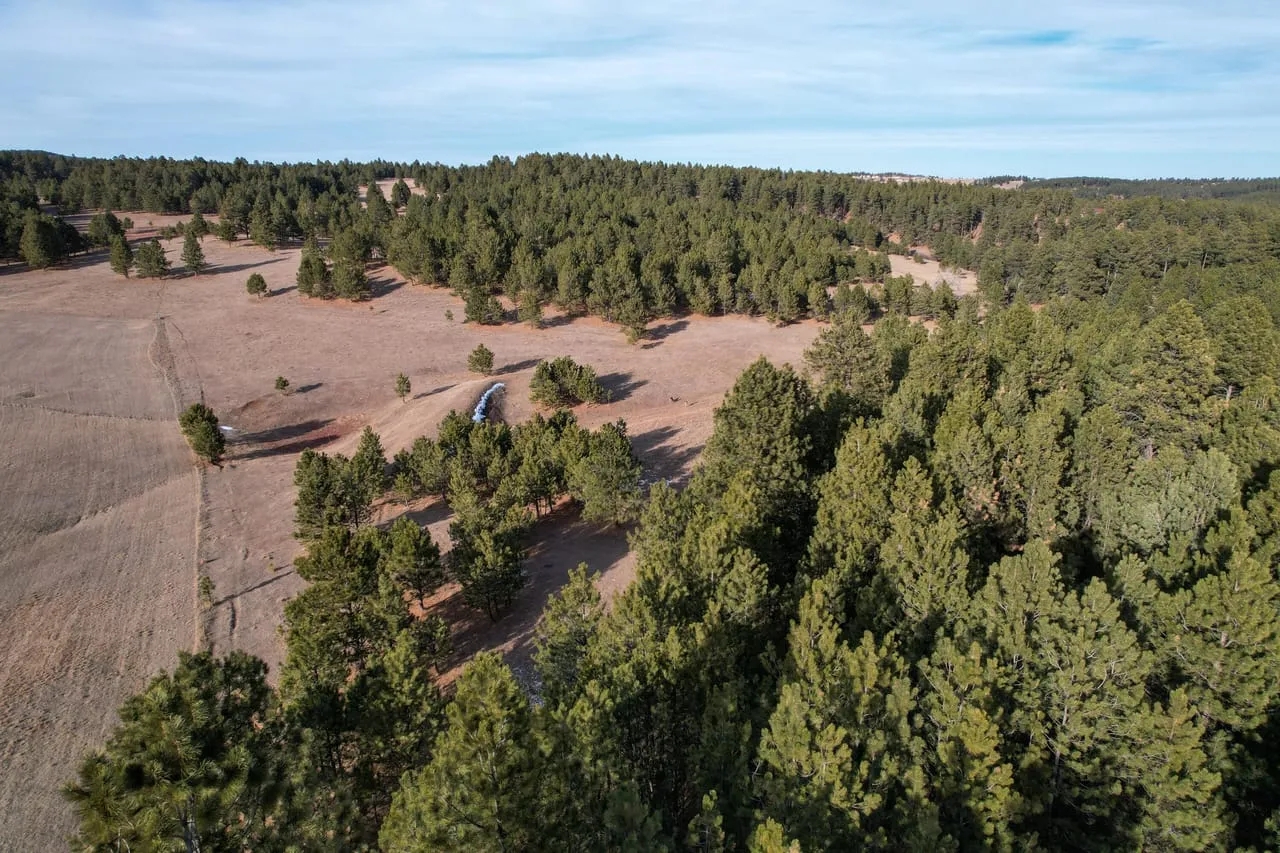 Black Hills 70 Hunting Land for Sale
