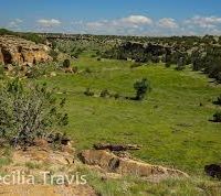 120-acre Junction Butte Wetlands elk & deer hunting land in Kremmling, CO images 1