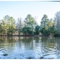 96.7 Acres in Tallahatchie County in Cascilla MS images 5
