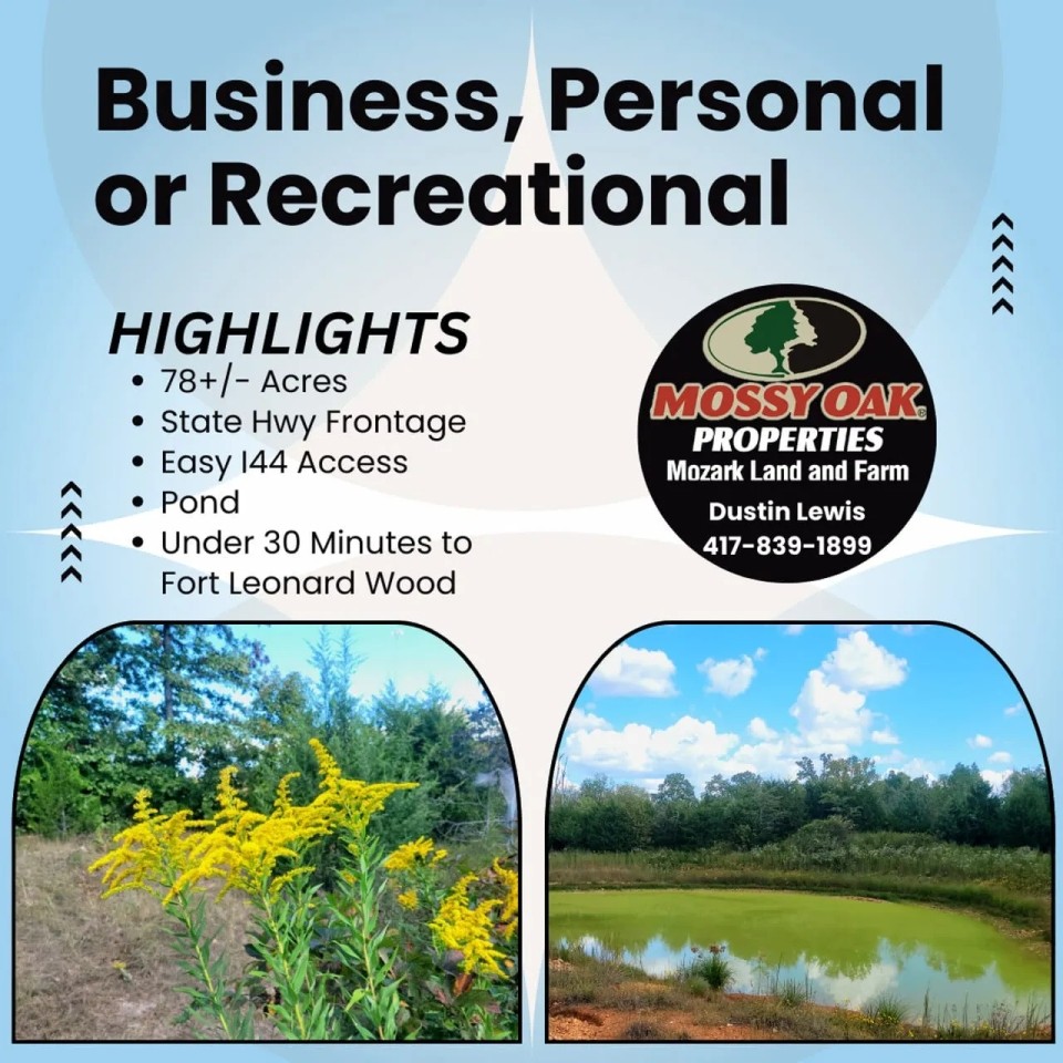 Business Personal or Recreational featured image