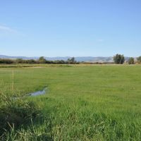 WILLOW VIEW RANCH