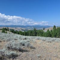 WILLOW VIEW RANCH images 3