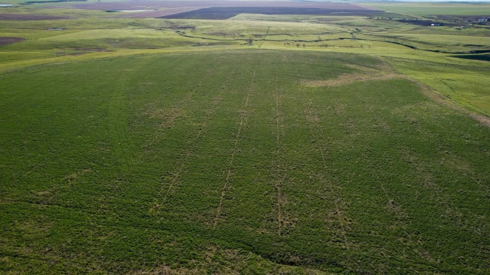 South Lyman Hunt and Farm featured image