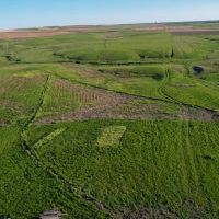South Lyman Hunt and Farm images 2