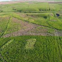South Lyman Hunt and Farm images 3