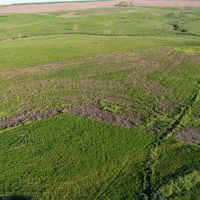 South Lyman Hunt and Farm images 4