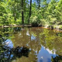 Alba TX Home with Acreage Near Lake Fork for Sale images 5