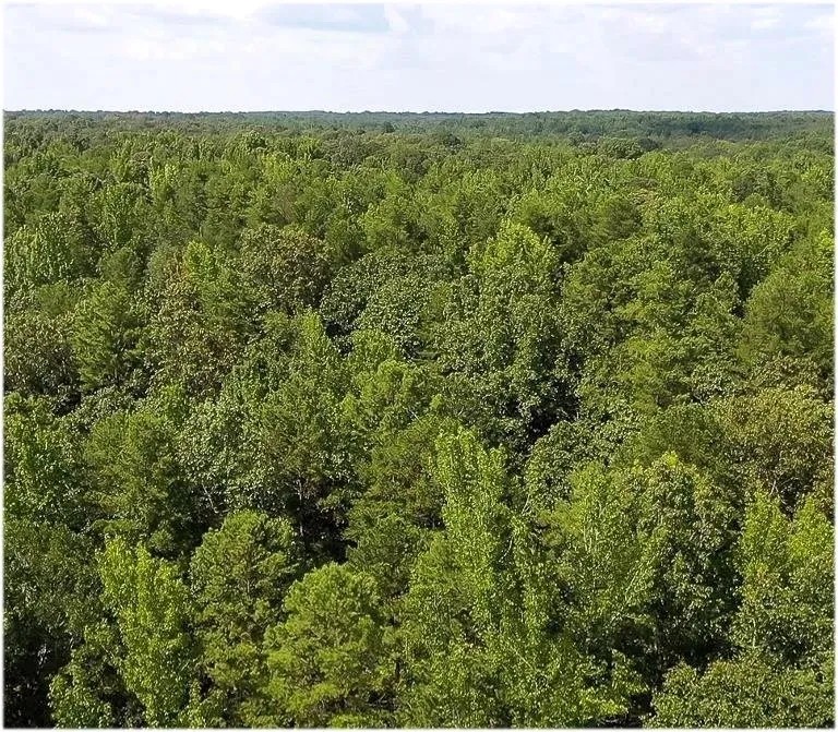 442 Acres in Tallahatchie County in Cascilla MS featured image