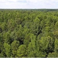 442 Acres in Tallahatchie County in Cascilla MS images 1