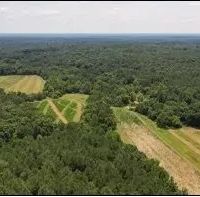 442 Acres in Tallahatchie County in Cascilla MS images 2