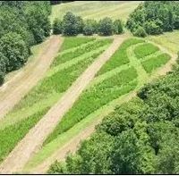 442 Acres in Tallahatchie County in Cascilla MS images 3