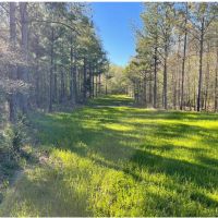 58 Acres in Choctaw County in Ackerman MS
