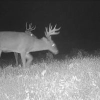 58 Acres in Choctaw County in Ackerman MS images 3