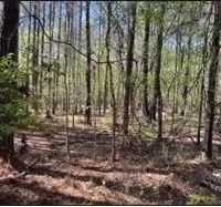 58 Acres in Choctaw County in Ackerman MS images 5