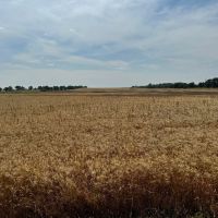 Dewey County Land images 3