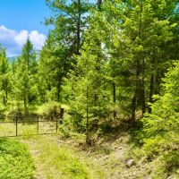 Paradise Hunting Acres images 2