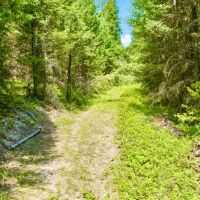 Paradise Hunting Acres images 3
