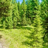 Paradise Hunting Acres images 4