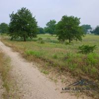 Pioneer Ranch