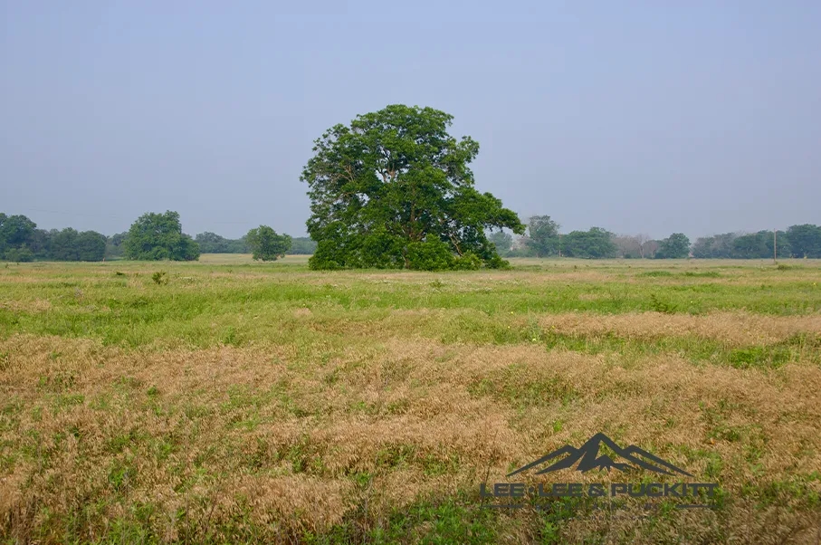 Pioneer Ranch Hunting Land for Sale