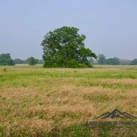 Pioneer Ranch images 3