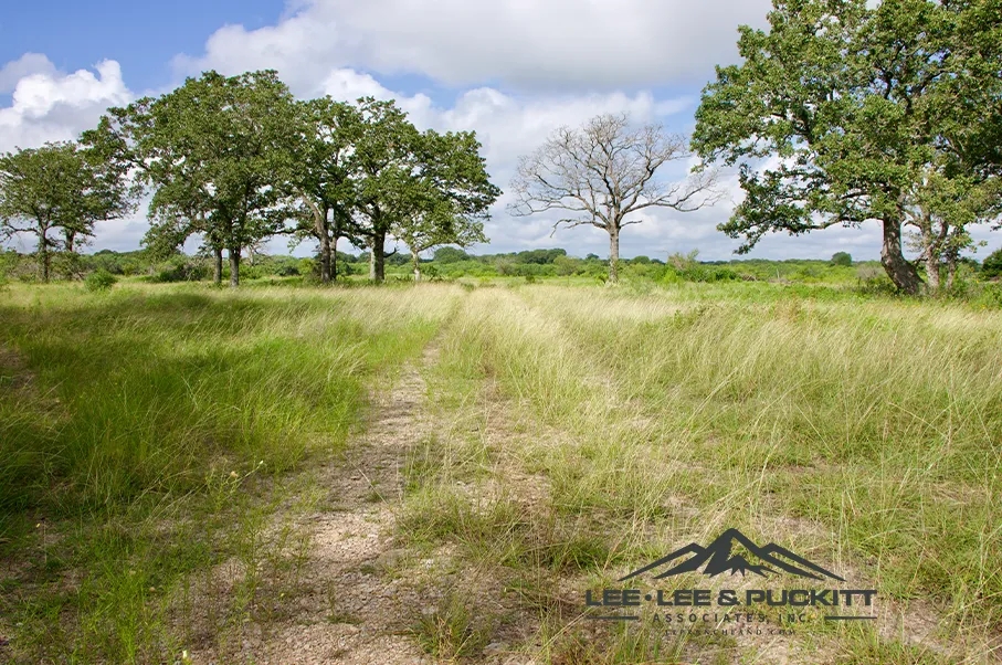 Pioneer Ranch Hunting Land for Sale