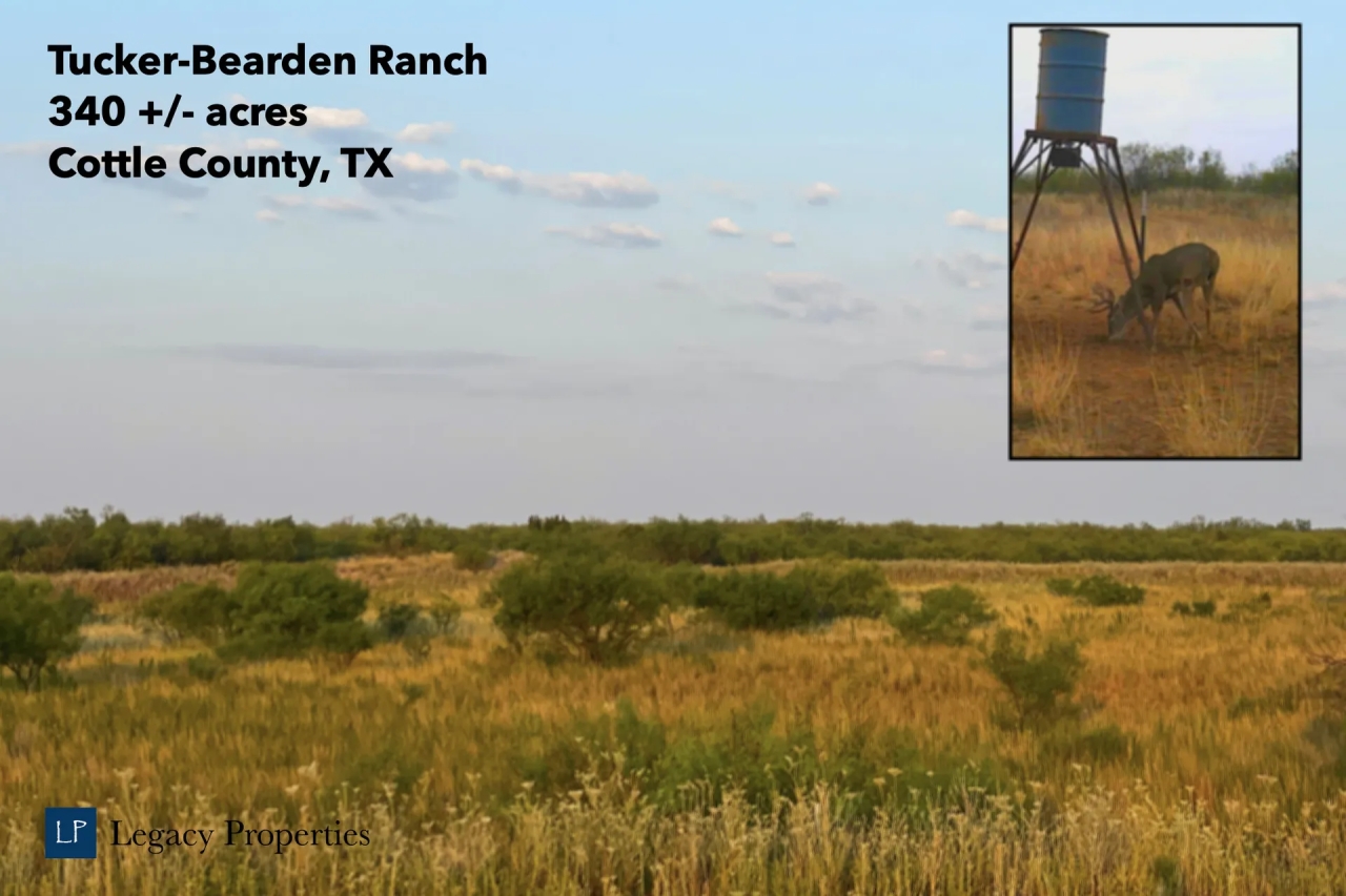 TuckerBearden Ranch Hunting Land for Sale