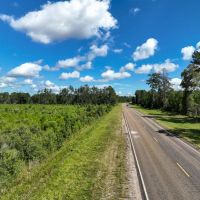 161 Acres T-6 FM 92 287044-045