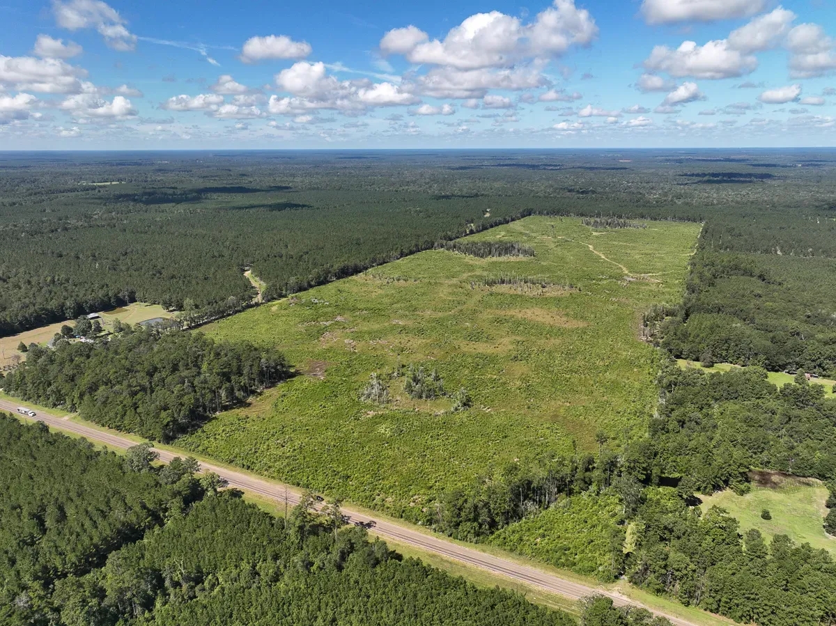 161 Acres T6 FM 92 287044045 Hunting Land for Sale HuntingLocator