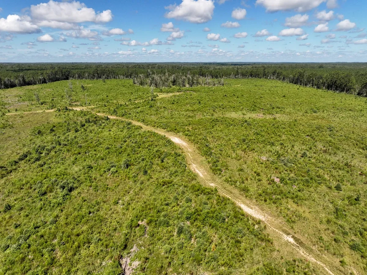 161 Acres T6 FM 92 287044045 Hunting Land for Sale HuntingLocator