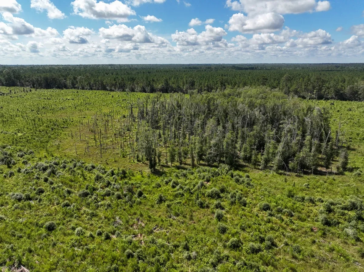 161 Acres T6 FM 92 287044045 Hunting Land for Sale HuntingLocator