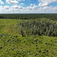 161 Acres T-6 FM 92 287044-045 images 5