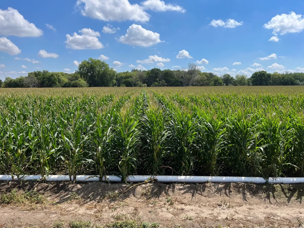 M BAR A Farm Hunting Land for Sale