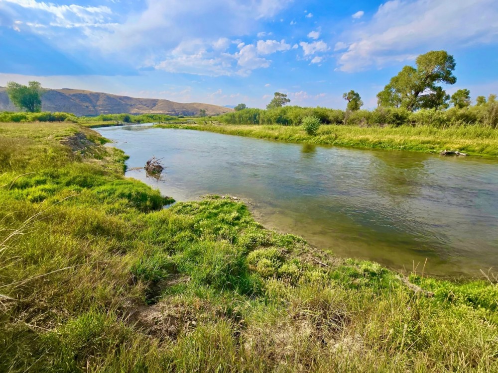 Blissful Beaverhead River Frontage featured image