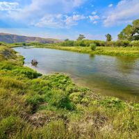 Blissful Beaverhead River Frontage