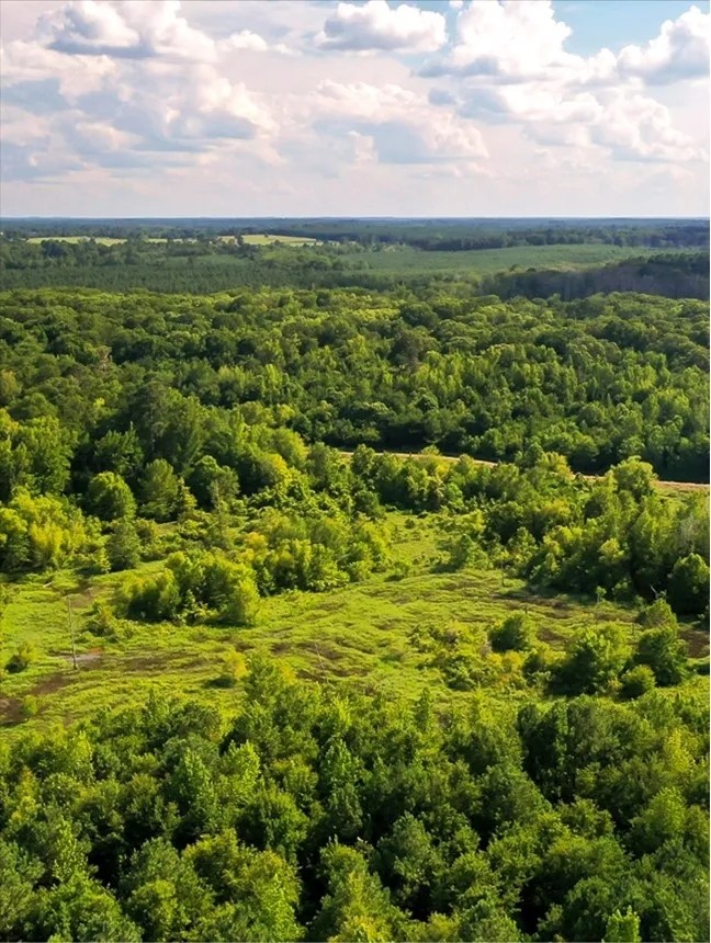 910 Acres in Union Parish in Spearsville LA Big Daddy s Paradise featured image