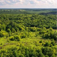 910 Acres in Union Parish in Spearsville LA Big Daddy s Paradise
