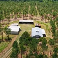 910 Acres in Union Parish in Spearsville LA Big Daddy s Paradise images 2