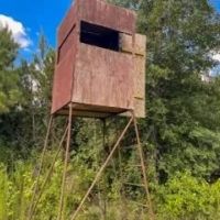 910 Acres in Union Parish in Spearsville LA Big Daddy s Paradise images 4