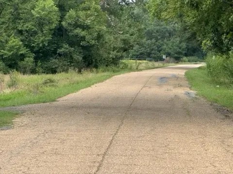 LA - Ouachita 46 acres - featured image