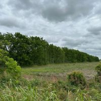 26 Acre Wooded property Highway 36 Damon TX images 2