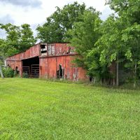 26 Acre Wooded property Highway 36 Damon TX images 3
