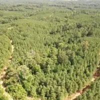 76 Acres in Grenada County in Grenada MS images 3