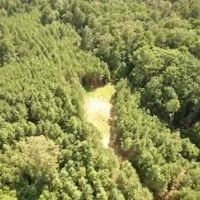 76 Acres in Grenada County in Grenada MS images 4