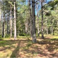 35.5 Acres in Neshoba County in Union MS images 4