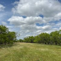 Available 20 Acres Tract 16 Shackelford County images 3