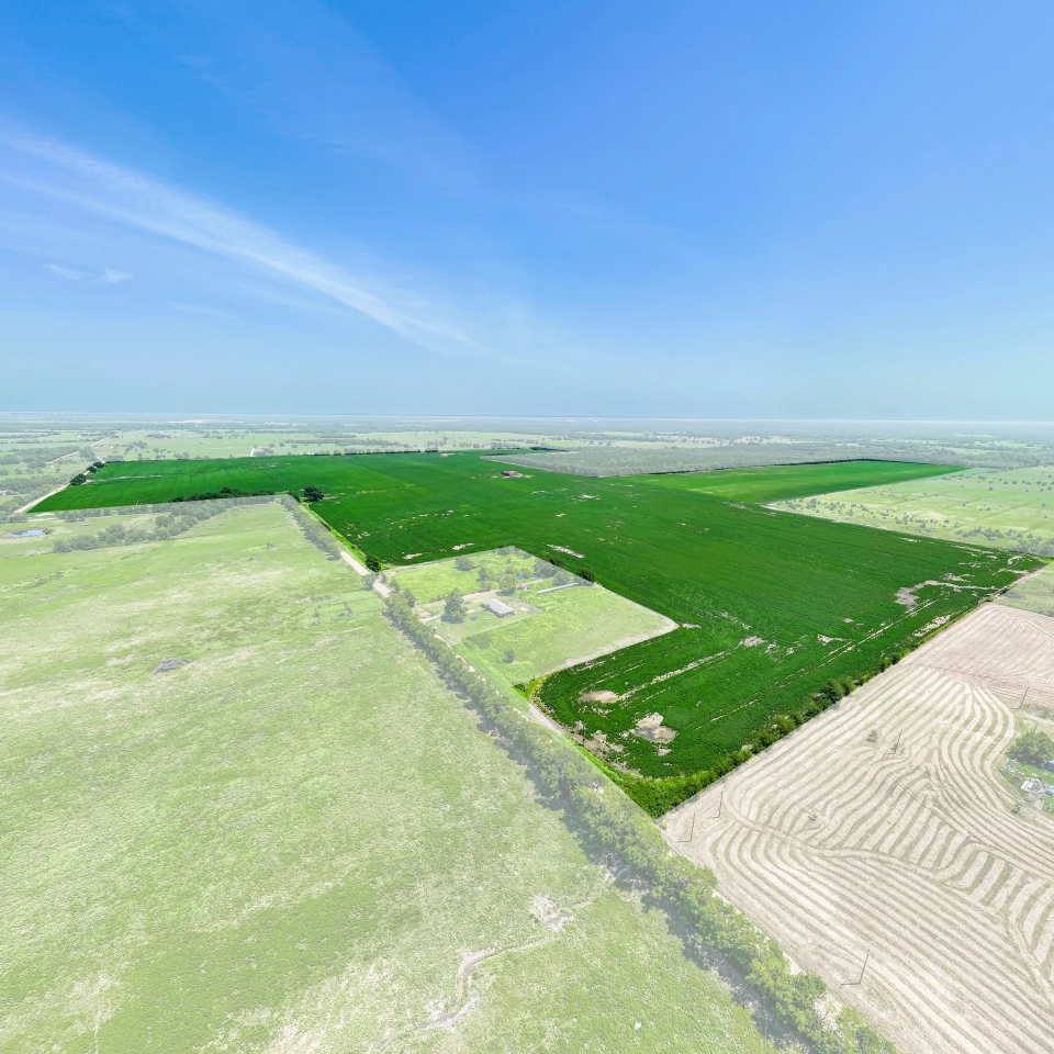 Row Crop Farm For Sale Lamar County TX Hunting Land for Sale