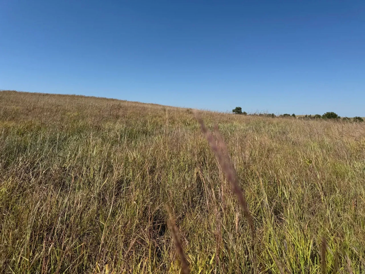 81.24 Acre Recreational Property Franklin County NE Hunting Land