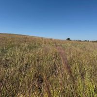 81.24 - Acre Recreational Property - Franklin County NE images 3